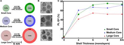 Impact of Crystal Structure and Particles Shape on the Photoluminescence Intensity of CdSe/CdS Core/Shell Nanocrystals